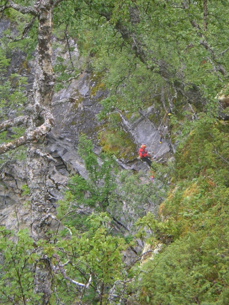 Steinuglefloget